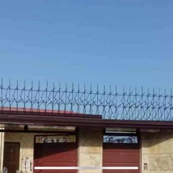 حفاظ بوته ایی